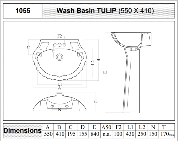 1055 - Tulip - Image 2